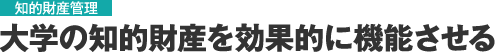 知的財産管理 大学の知的財産を効果的に機能させる