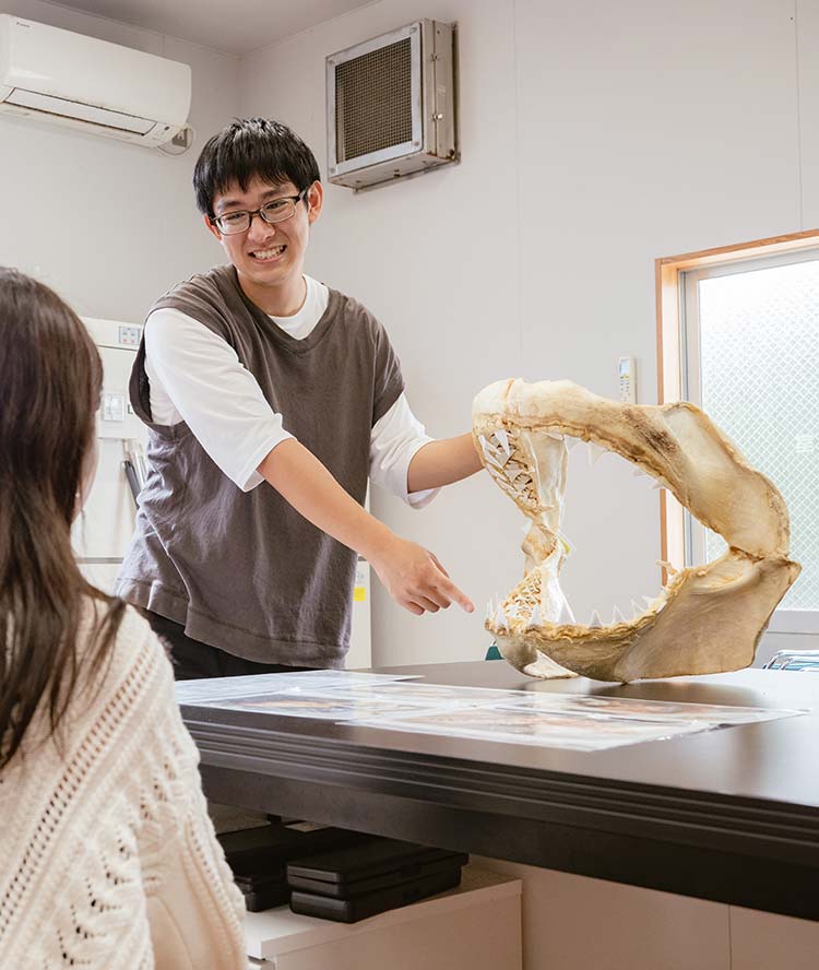 畜産（動物）にかかわる学習ができる