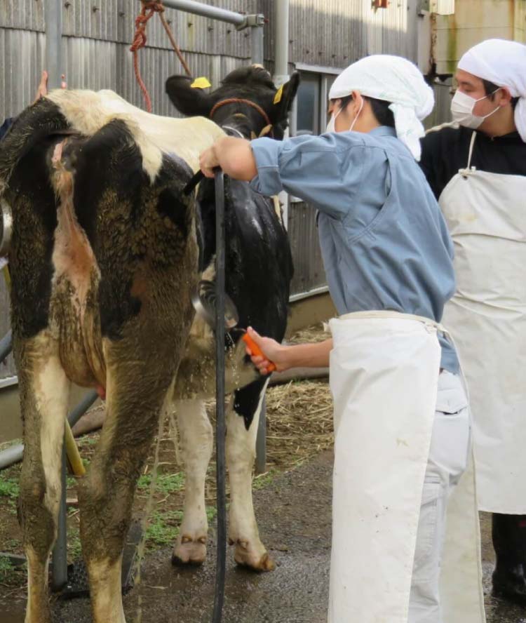 動物にかかわる公務員をめざせる