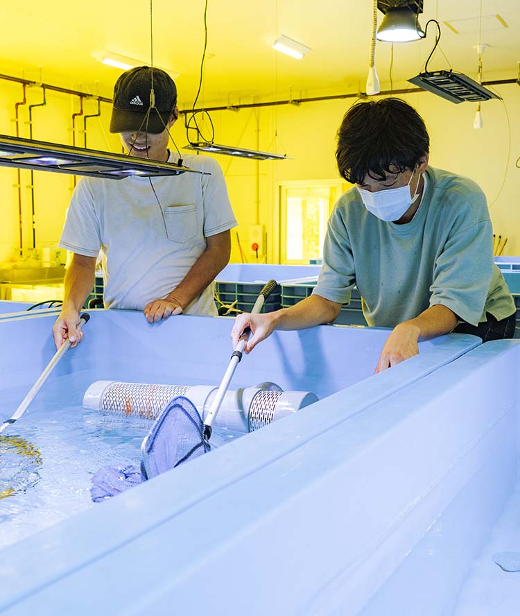水産（動物）にかかわる学習ができる