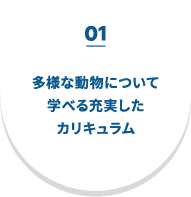01 多様な動物について学べる充実したカリキュラム