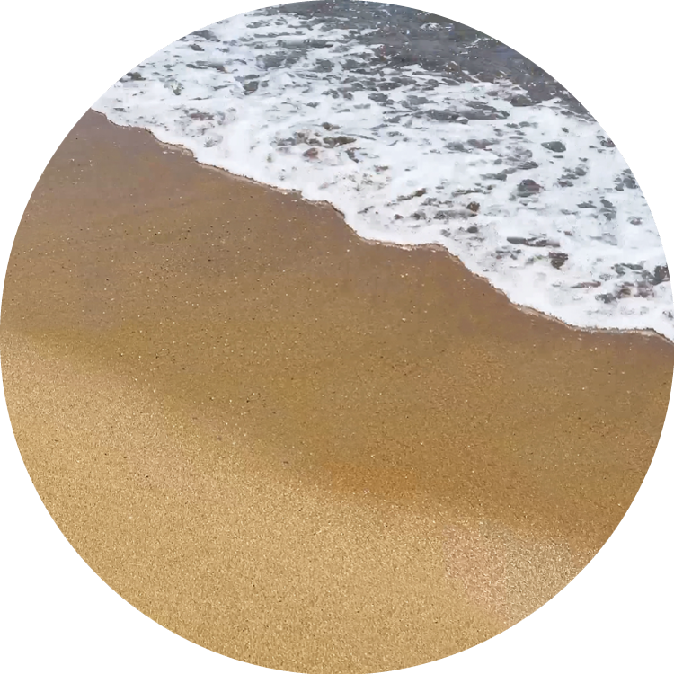海辺の砂のひみつ