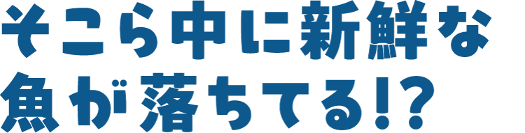 そこら中に新鮮な魚が落ちてる!?
