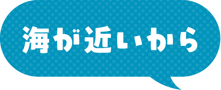 海が近いから
