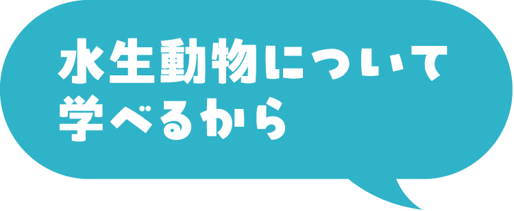 水生動物について学べるから
