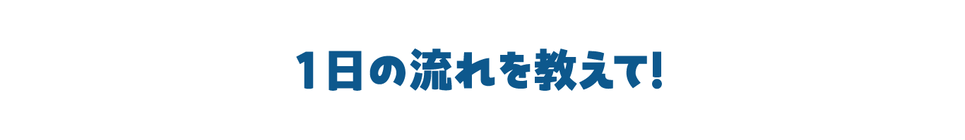 1日の流れを教えて!
