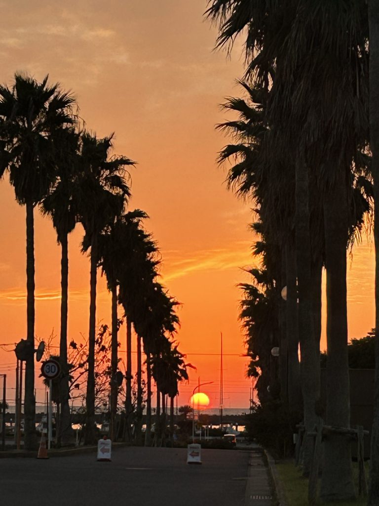 薬学棟から望む、美しい夕景 ― 千葉県銚子市の“カリフォルニア”